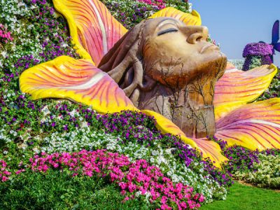 Miracle Garden